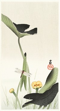 Libelle and lotus (1900 - 1930) by <a href="https://www.rawpixel.com/search/Ohara%20Koson?sort=curated&amp;page=1">Ohara Koson</a> (1877-1945). Original from The Rijksmuseum. Digitally enhanced by rawpixel.