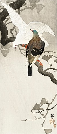 Two pigeons on a branch (1900 - 1910) by <a href="https://www.rawpixel.com/search/Ohara%20Koson?sort=curated&amp;page=1">Ohara Koson</a> (1877-1945). Original from The Rijksmuseum. Digitally enhanced by rawpixel.