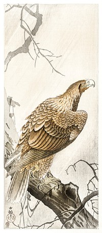 Eagle on tree branch (1900 - 1910) by <a href="https://www.rawpixel.com/search/Ohara%20Koson?sort=curated&amp;page=1">Ohara Koson</a> (1877-1945). Original from The Rijksmuseum. Digitally enhanced by rawpixel.