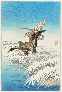 Pair of ducks flying over snowy reed collar (1900 - 1945) by <a href="https://www.rawpixel.com/search/Ohara%20Koson?sort=curated&amp;page=1">Ohara Koson</a> (1877-1945). Original from The Rijksmuseum. Digitally enhanced by rawpixel.