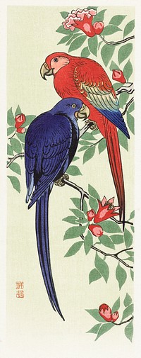 Red and a blue parrot (1925 - 1936) by Ohara Koson (1877-1945). Original from The Rijksmuseum. Digitally enhanced by rawpixel.