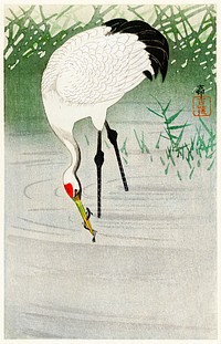 Fishing crane in shallow water (1900 - 1945) by <a href="https://www.rawpixel.com/search/Ohara%20Koson?sort=curated&amp;page=1">Ohara Koson</a> (1877-1945). Original from The Rijksmuseum. Digitally enhanced by rawpixel.