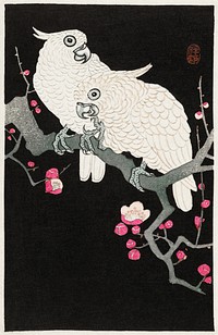 Two cockatoo and plum blossom (1925 - 1936) by <a href="https://www.rawpixel.com/search/Ohara%20Koson?sort=curated&amp;page=1">Ohara Koson</a> (1877-1945). Original from The Rijksmuseum. Digitally enhanced by rawpixel.