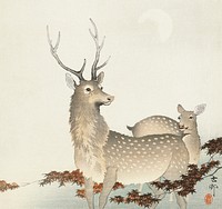 Couple of deers (1900 - 1930) by <a href="https://www.rawpixel.com/search/Ohara%20Koson?sort=curated&amp;page=1">Ohara Koson</a> (1877-1945). Original from The Rijksmuseum. Digitally enhanced by rawpixel.