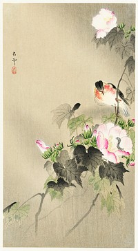 Bird and caterpillar (1900 - 1930) by <a href="https://www.rawpixel.com/search/Ohara%20Koson?sort=curated&amp;page=1">Ohara Koson</a> (1877-1945). Original from The Rijksmuseum. Digitally enhanced by rawpixel.