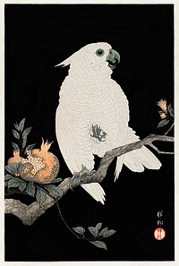 Cockatoo with pomegranate (1927) by <a href="https://www.rawpixel.com/search/Ohara%20Koson?sort=curated&amp;page=1">Ohara Koson</a> (1877-1945). Original from The Rijksmuseum. Digitally enhanced by rawpixel.