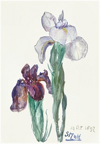 Irises (1897) by <a href="https://www.rawpixel.com/search/Sientje%20Mesdag-van%20Houten?sort=curated&amp;page=1">Sientje Mesdag-van Houten</a>. Original from The Rijksmuseum. Digitally enhanced by rawpixel.