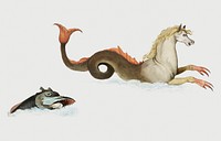 Vintage hippocampus and fish illustration