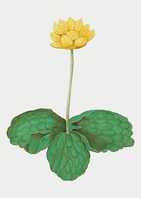 Vintage yellow floppy flower illustration in vector