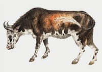 Vintage cow illustration in vector