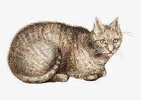 Vintage domestic cat illustration in vector