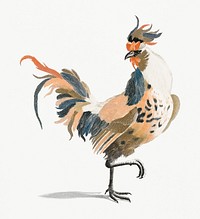 A Cock by <a href="https://www.rawpixel.com/search/Johan%20Teyler?sort=curated&amp;page=1">Johan Teyler</a> (1648-1709). Original from Rijks Museum. Digitally enhanced by rawpixel.