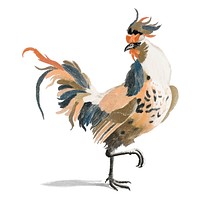 Vintage illustration of a cock