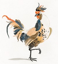 A Cock by <a href="https://www.rawpixel.com/search/Johan%20Teyler?sort=curated&amp;page=1">Johan Teyler</a> (1648-1709). Original from The Rijksmuseum. Digitally enhanced by rawpixel.