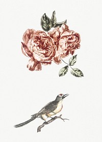 Two roses and a bird by Johan Teyler (1648-1709). Original from Rijks Museum. Digitally enhanced by rawpixel.