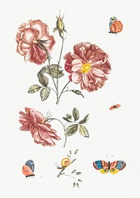 Two branches with roses, four butterflies and a snail by Johan Teyler (1648-1709). Original from Rijks Museum. Digitally enhanced by rawpixel.