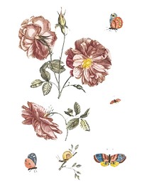 Vintage illustration of two branches with roses, four butterflies and a snail