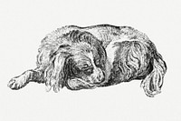 Lying dog (1777) by <a href="https://www.rawpixel.com/search/Cornelis%20Ploos%20van%20Amstel?sort=curated&amp;page=1">Cornelis Ploos van Amstel</a>. Original from The Rijksmuseum. Digitally enhanced by rawpixel.