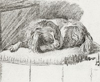 Lying dog (1777) by <a href="https://www.rawpixel.com/search/Cornelis%20Ploos%20van%20Amstel?sort=curated&amp;page=1">Cornelis Ploos van Amstel</a>. Original from The Rijksmuseum. Digitally enhanced by rawpixel.