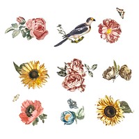 Vintage illustration of various flowers and a bird