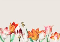 Spring background vector with tulip flower border