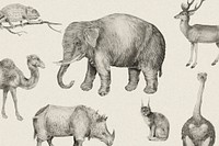 Vintage safari animals set vector