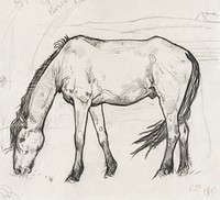 Grazing horse in Noordwijk (1893) drawing in high resolution by Richard Roland Holst. Original from the Rijksmuseum. Digitally enhanced by rawpixel.