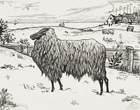 Sheep in a coastal landscape (1897) drawing in high resolution by Richard Roland Holst. Original from the Rijksmuseum. Digitally enhanced by rawpixel.