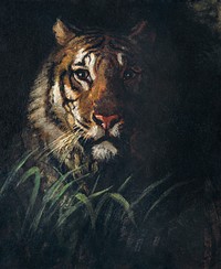 Tiger's Head painting in high resolution by Abbott Handerson Thayer (1849&ndash;1921). Original from the Smithsonian Institution. Digitally enhanced by rawpixel.