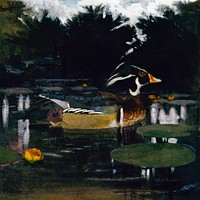 Male Wood Duck in a Forest Pool, study for book Concealing Coloration in the Animal Kingdom (ca.1905–1909) painting in high resolution by Abbott Handerson Thayer and Richard S. Meryman. Original from the Smithsonian Institution. Digitally enhanced by rawpixel.