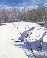 Blue Jays in Winter, study for book Concealing Coloration in the Animal Kingdom (ca.1905&ndash;1909) painting in high resolution by Abbott Handerson Thayer. Original from the Smithsonian Institution. Digitally enhanced by rawpixel.