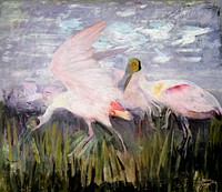 Roseate Spoonbills, study for book Concealing Coloration in the Animal Kingdom (ca.1905&ndash;1909) painting in high resolution by Abbott Handerson Thayer. Original from the Smithsonian Institution. Digitally enhanced by rawpixel.