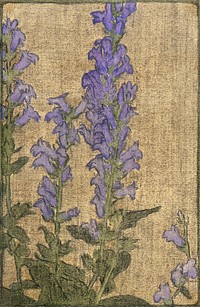 Delphinium (1915) by <a href="https://www.rawpixel.com/search/Hannah%20Borger%20Overbeck?sort=curated&amp;page=1&amp;topic_group=_my_topics">Hannah Borger Overbeck</a>. Original from The Los Angeles County Museum of Art. Digitally enhanced by rawpixel.
