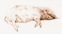 Lying pig by <a href="https://www.rawpixel.com/search/Jean%20Bernard?sort=curated&amp;page=1">Jean Bernard</a> (1775-1883). Original from The Rijksmuseum. Digitally enhanced by rawpixel.