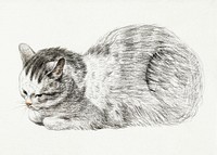 Sketch of a lying cat by <a href="https://www.rawpixel.com/search/Jean%20Bernard?sort=curated&amp;page=1">Jean Bernard</a> (1775-1883). Original from The Rijksmuseum. Digitally enhanced by rawpixel.