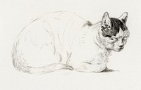 Sketch of a cat (1815) by <a href="https://www.rawpixel.com/search/Jean%20Bernard?sort=curated&amp;page=1">Jean Bernard</a> (1775-1883). Original from The Rijksmuseum. Digitally enhanced by rawpixel.