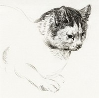 Sketch of a cat by <a href="https://www.rawpixel.com/search/Jean%20Bernard?sort=curated&amp;page=1">Jean Bernard</a> (1775-1883). Original from The Rijksmuseum. Digitally enhanced by rawpixel.