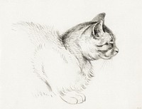 Sketch of a cat (1812) by <a href="https://www.rawpixel.com/search/Jean%20Bernard?sort=curated&amp;page=1">Jean Bernard</a> (1775-1883). Original from The Rijksmuseum. Digitally enhanced by rawpixel.