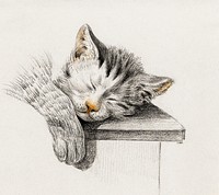 Sketch of a sleeping cat by Jean Bernard (1775-1883). Original from The Rijksmuseum. Digitally enhanced by rawpixel.