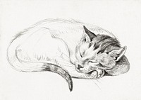 Sketch of a sleeping cat (1812) by <a href="https://www.rawpixel.com/search/Jean%20Bernard?sort=curated&amp;page=1">Jean Bernard</a> (1775-1883). Original from The Rijksmuseum. Digitally enhanced by rawpixel.