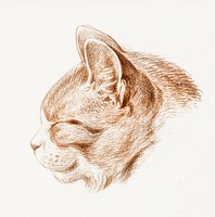 Sketch of a cat (1813) by <a href="https://www.rawpixel.com/search/Jean%20Bernard?sort=curated&amp;page=1">Jean Bernard </a>(1775-1883). Original from The Rijksmuseum. Digitally enhanced by rawpixel.