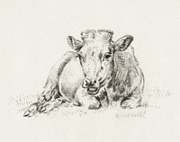 Lying cow Jean Bernard, after Adriaen van de Velde (1821) by <a href="https://www.rawpixel.com/search/Jean%20Bernard?sort=curated&amp;page=1">Jean Bernard</a> (1775-1883). Original from The Rijksmuseum. Digitally enhanced by rawpixel.