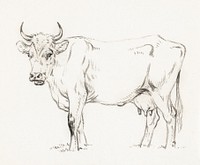 Standing cow (1828) by <a href="https://www.rawpixel.com/search/Jean%20Bernard?sort=curated&amp;page=1">Jean Bernard</a> (1775-1883). Original from The Rijksmuseum. Digitally enhanced by rawpixel.