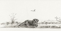 Cow in the water by <a href="https://www.rawpixel.com/search/Jean%20Bernard?sort=curated&amp;page=1">Jean Bernard</a> (1775-1883). Original from The Rijksmuseum. Digitally enhanced by rawpixel.