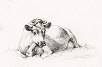 Lying cow by <a href="https://www.rawpixel.com/search/Jean%20Bernard?sort=curated&amp;page=1">Jean Bernard</a> (1775-1883). Original from The Rijksmuseum. Digitally enhanced by rawpixel.