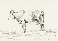 Standing cow by <a href="https://www.rawpixel.com/search/Jean%20Bernard?sort=curated&amp;page=1">Jean Bernard </a>(1775-1883). Original from The Rijksmuseum. Digitally enhanced by rawpixel.