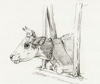 Head of a cow, lying in a stable (1826) by <a href="https://www.rawpixel.com/search/Jean%20Bernard?sort=curated&amp;page=1">Jean Bernard </a>(1775-1883). Original from The Rijksmuseum. Digitally enhanced by rawpixel.