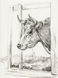 Head of a cow (1820) by <a href="https://www.rawpixel.com/search/Jean%20Bernard?sort=curated&amp;page=1">Jean Bernard</a> (1775-1883). Original from The Rijksmuseum. Digitally enhanced by rawpixel.