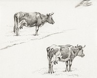 Two sketches of a standing cow (1821) by <a href="https://www.rawpixel.com/search/Jean%20Bernard?sort=curated&amp;page=1">Jean Bernard</a> (1775-1883). Original from The Rijksmuseum. Digitally enhanced by rawpixel.