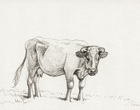Standing cow (1816) by <a href="https://www.rawpixel.com/search/Jean%20Bernard?sort=curated&amp;page=1">Jean Bernard</a> (1775-1883). Original from The Rijksmuseum. Digitally enhanced by rawpixel.